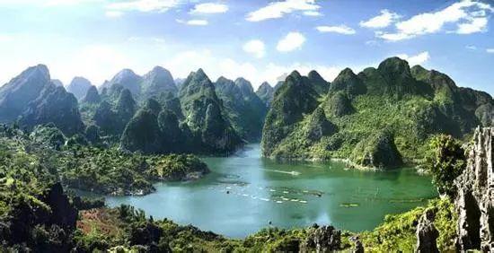 解救金刚鹦鹉