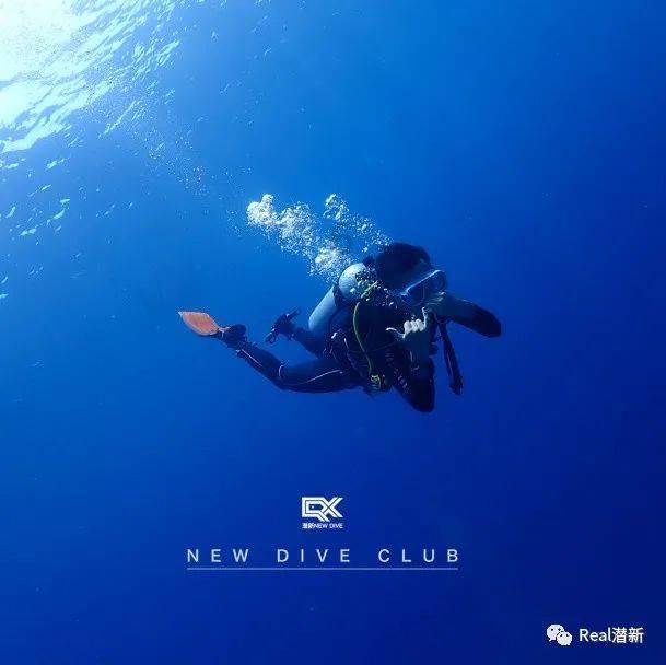 吸血鬼的谜语