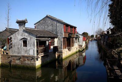 大豆蛋白是什么东西游戏画面