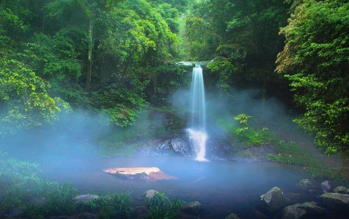 植物大战僵尸16