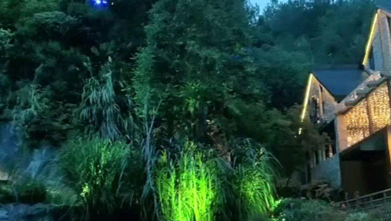 人为什么越到中年越喜欢享受独处的生活方式？